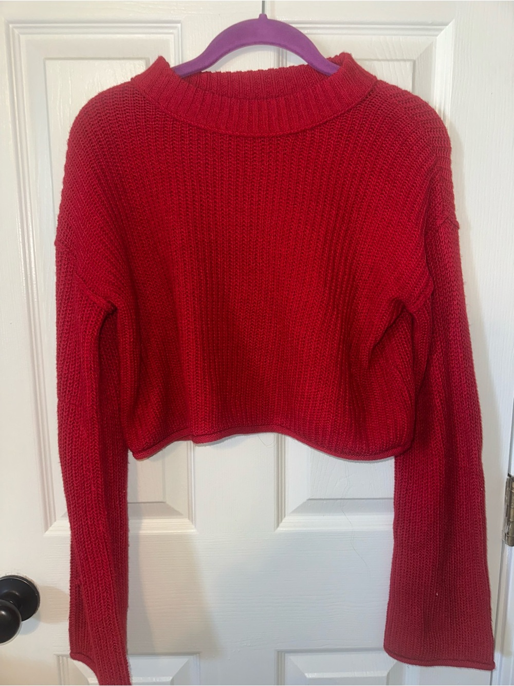 wild fable Red Cropped Turtleneck Sweater
